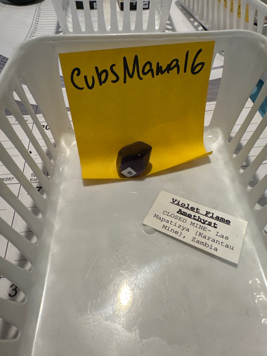 EM 03/13/26 TikTok Live Show Order Cubsmama16