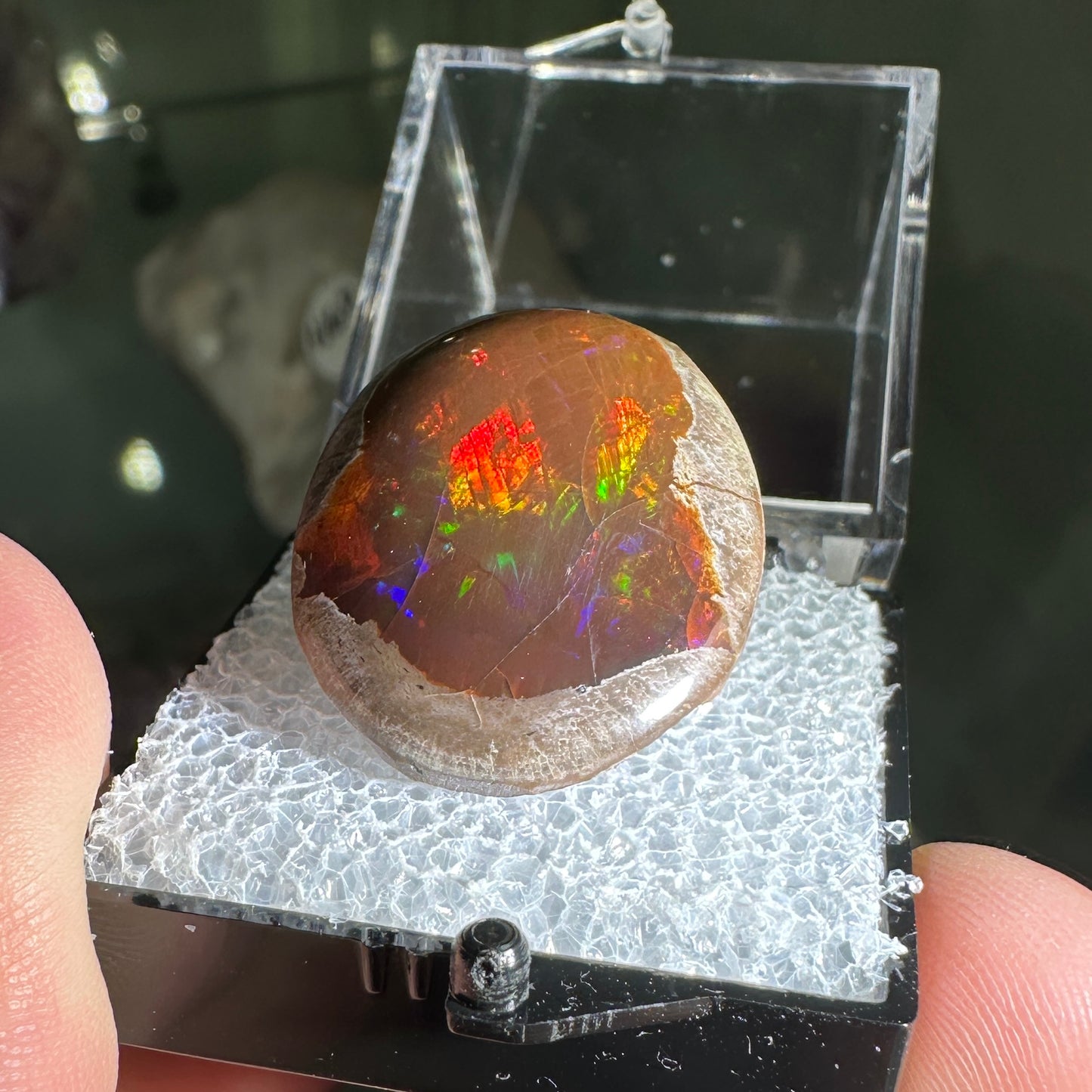 26ct A+ Polished Ethiopian Chocolate Opal in Perky Box