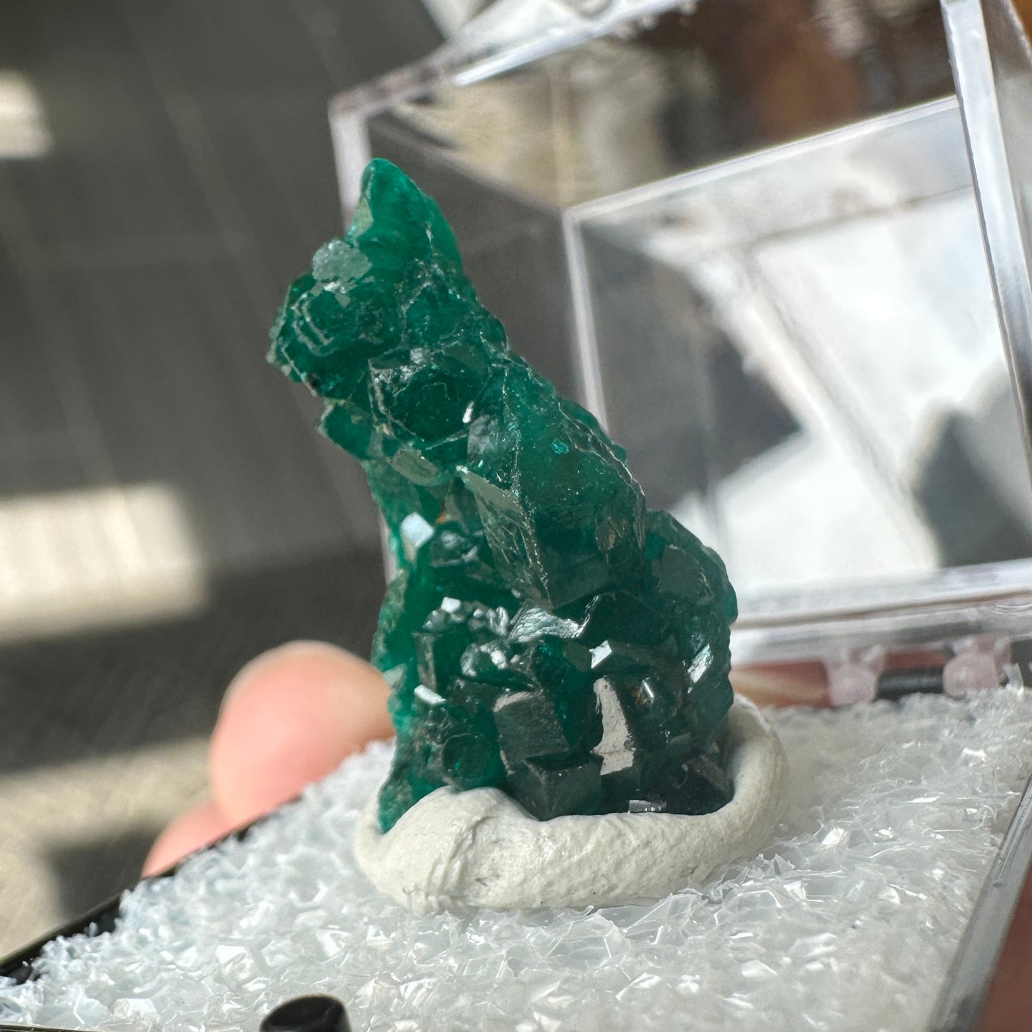 Gemmy Green Dioptase Perky Box Specimen from DR Congo