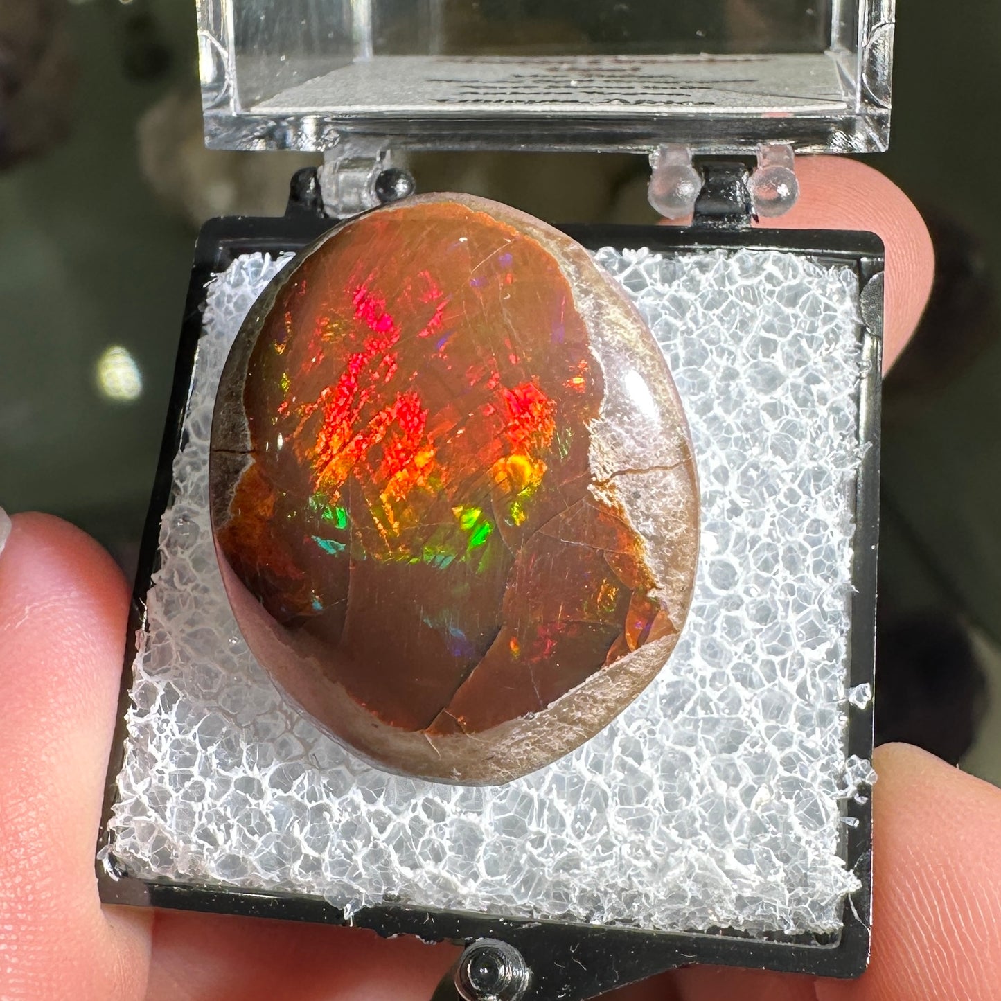 26ct A+ Polished Ethiopian Chocolate Opal in Perky Box