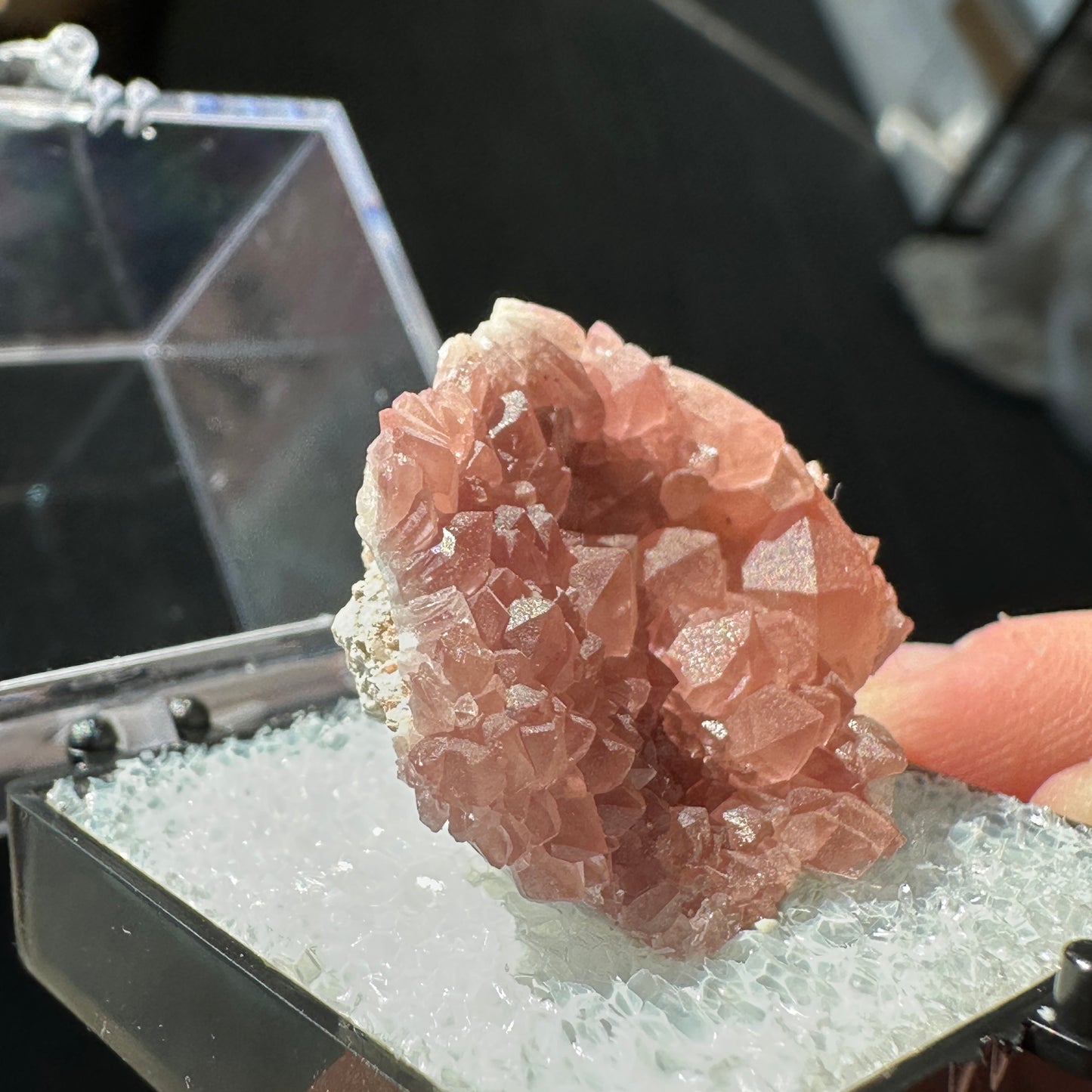 Pink Amethyst Perky Box Specimen from Argentina
