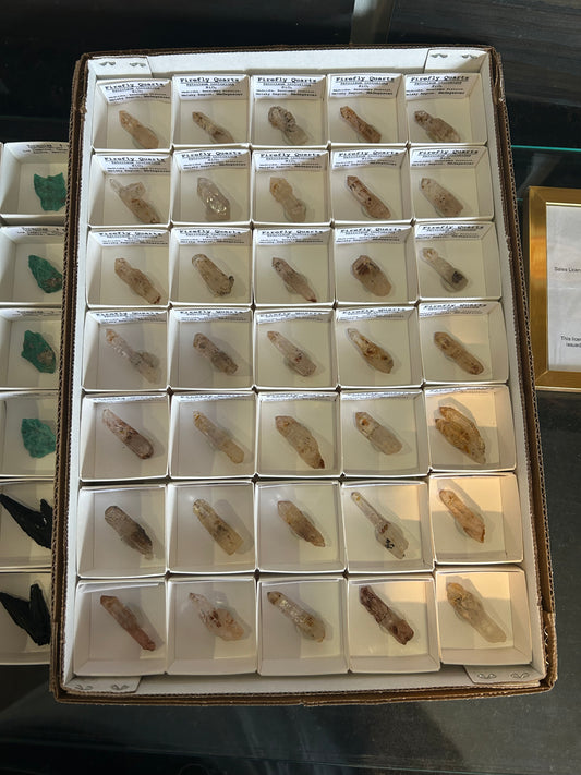Cara Group 8/26/25