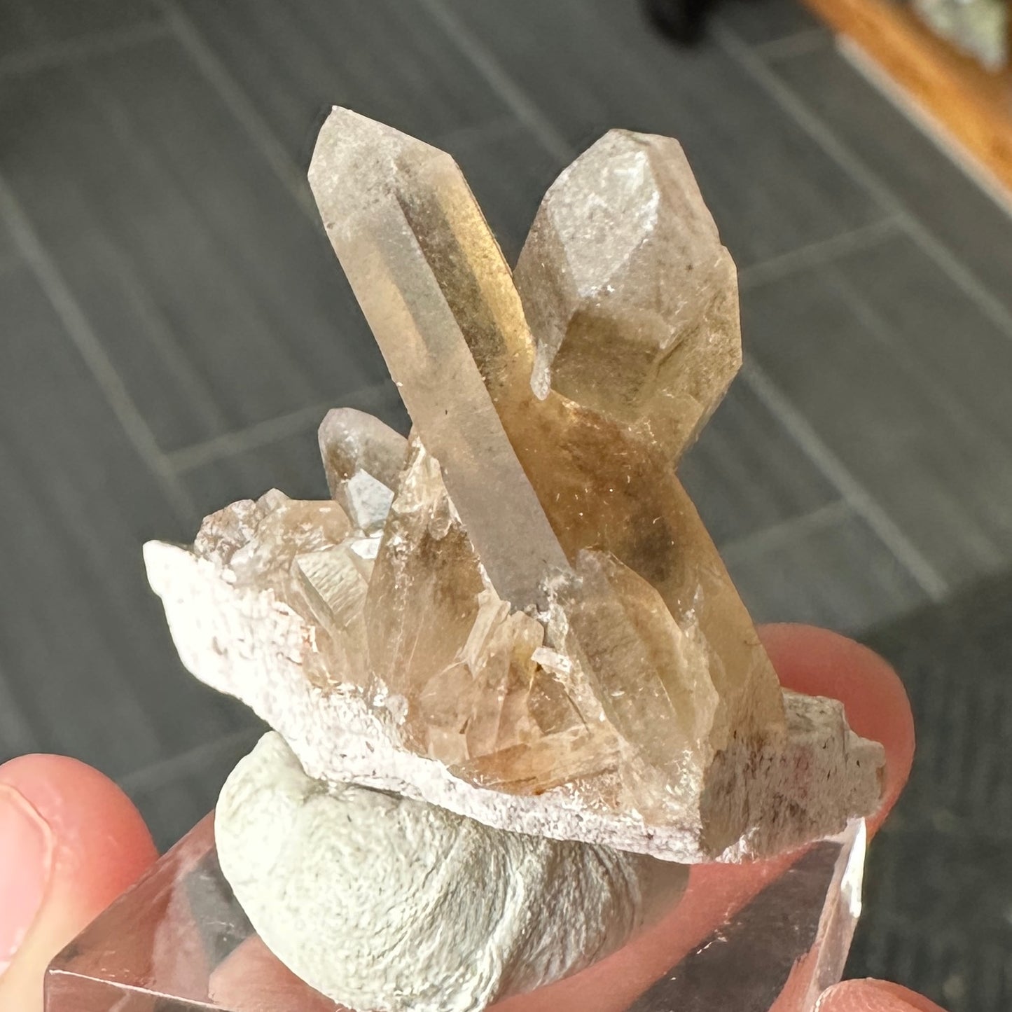 Miniature Sized Smoky Citrine from Orange River, Namibia