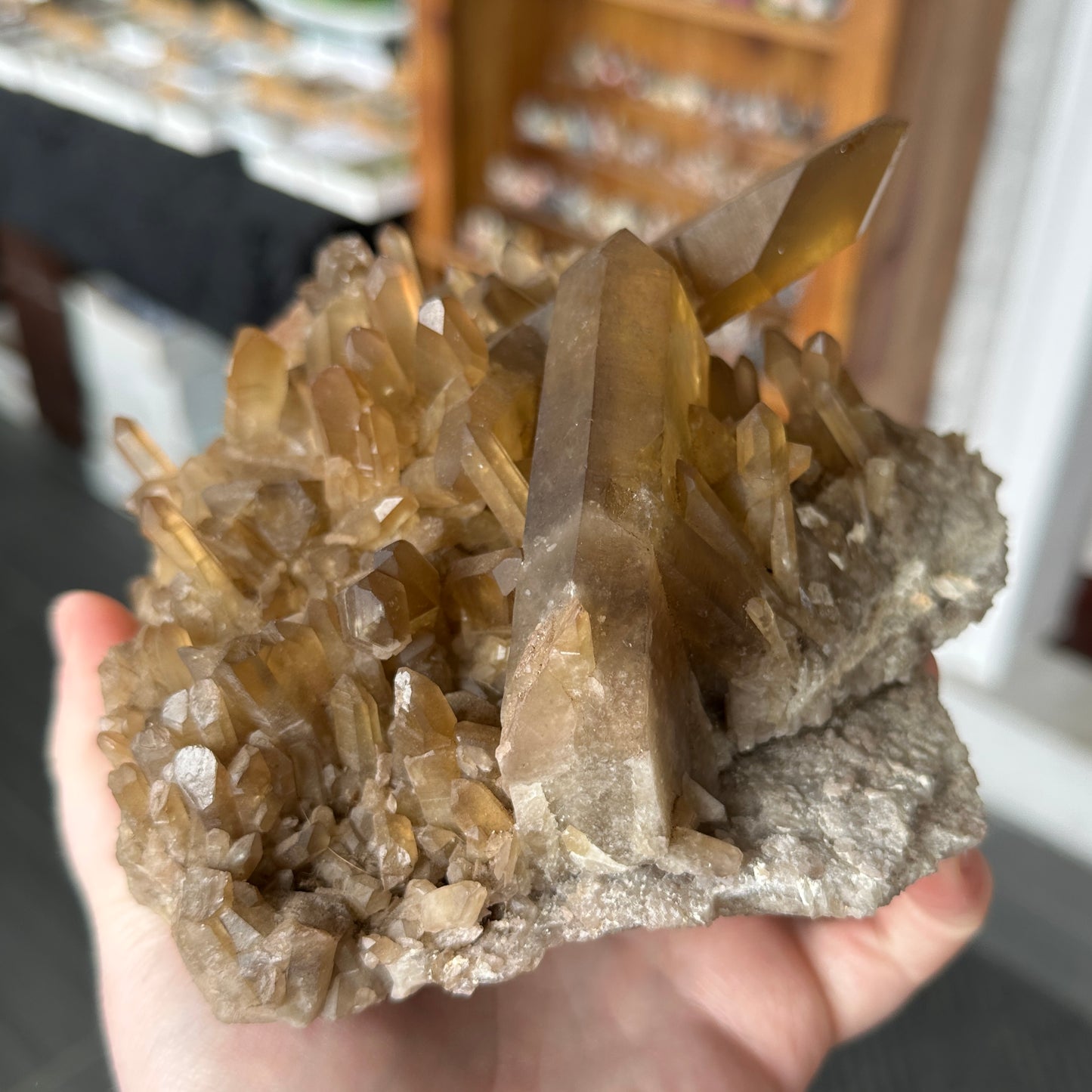 Large Cabinet Japan Law Twin Citrine from Zambia