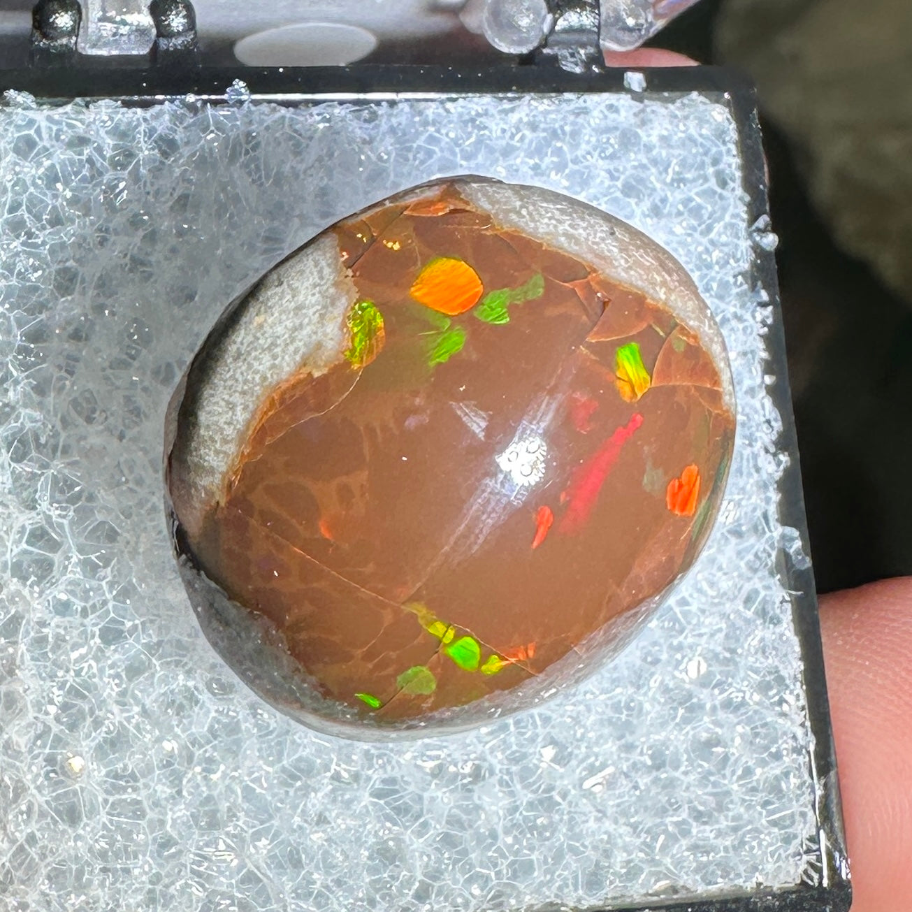 18ct A+ Polished Ethiopian Chocolate Opal in Perky Box