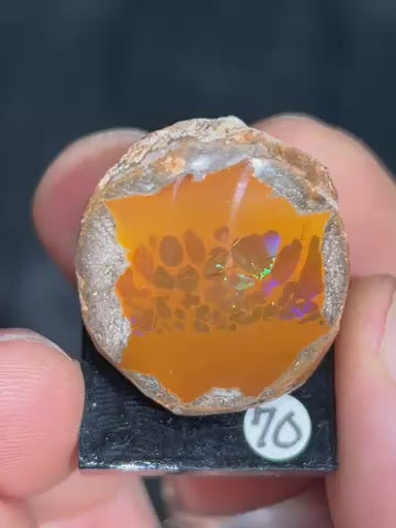 Polished Chocolate Opal from Ethiopia